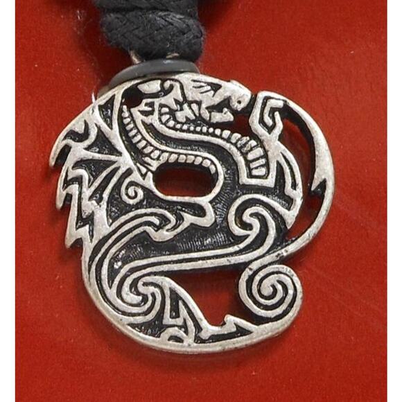 Vintage Celtic Vision Sacred Symbols Dragon Necklace Pendant 24 Adjustable Cord - Picture 1 of 8